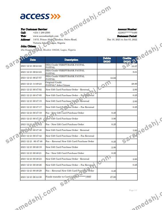Nigeria Access bank statement Excel and PDF template
